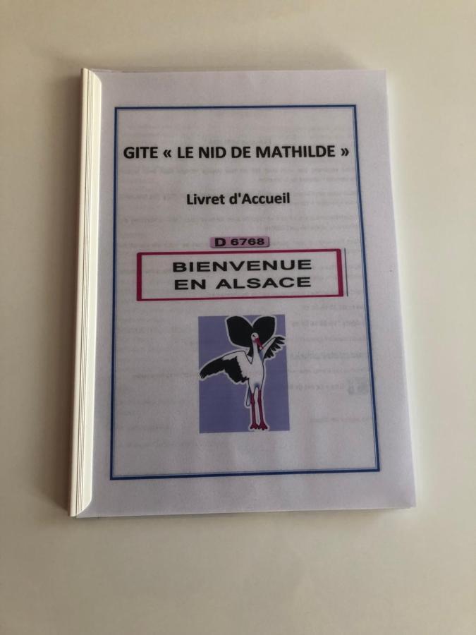 Le Nid De Mathilde- 3 Etoiles Apartment กอลมาร์ ภายนอก รูปภาพ