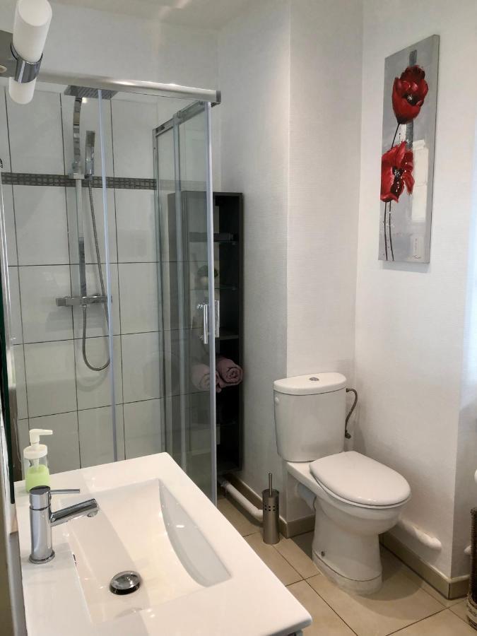 Le Nid De Mathilde- 3 Etoiles Apartment กอลมาร์ ภายนอก รูปภาพ